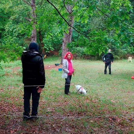 Comunicación canina